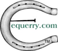 Equerry.com logo - Click for HOME page