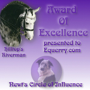 Newt's Circle of Influence - Award of Excellence