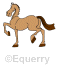 Horse Adventures